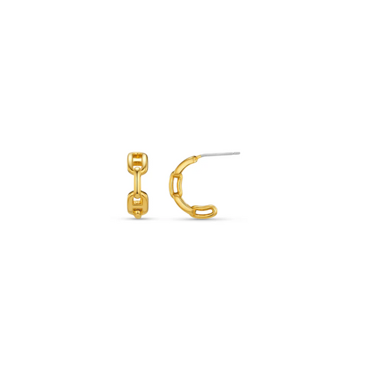 Orelia Chain Small Hoops Gold